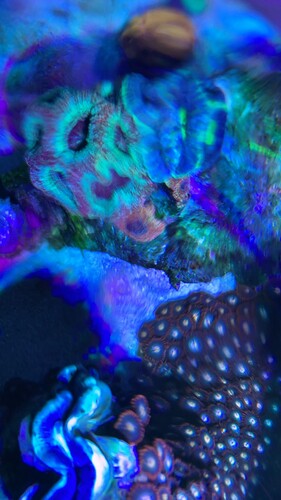 IMG_4045.jpeg