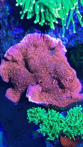 IMG_4039.jpeg
