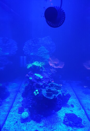 20240121_230335.jpg
