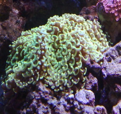 21062008133 [] [] [] [].jpg