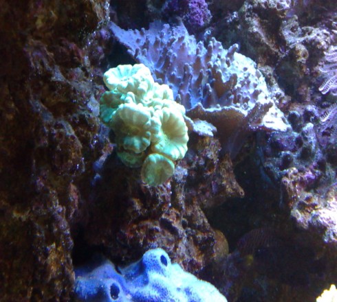 21062008140 [].jpg