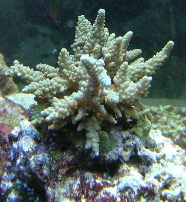 DSCF2054.JPG