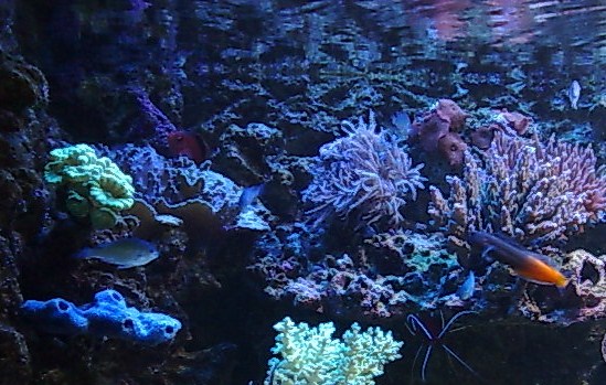 21062008159.jpg