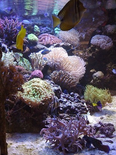21062008112 [50%].jpg