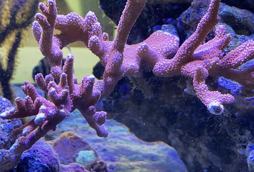 IMG_4376.jpeg