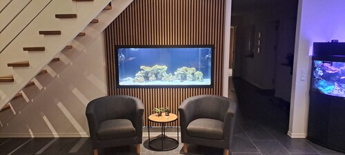 20240226_200954.jpg