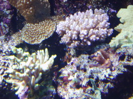 P1010006_resize.JPG