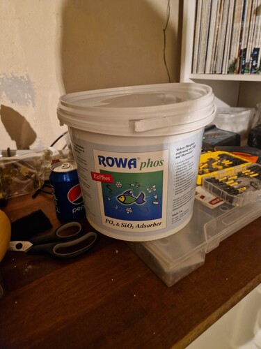 20240301_184247.jpg