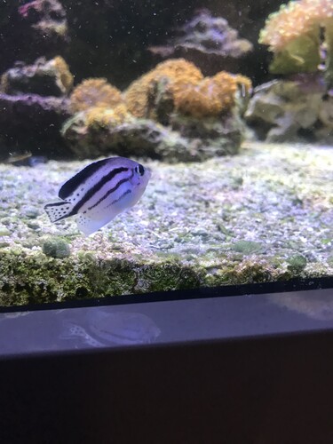 IMG_4205.jpeg