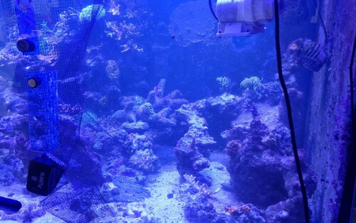 20240309_140035.jpg