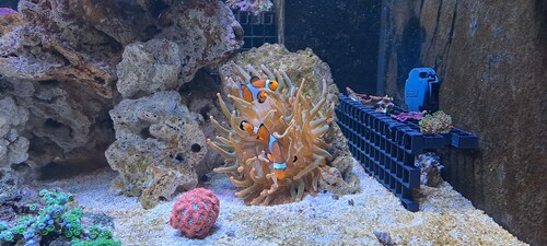 20240326_210501.jpg