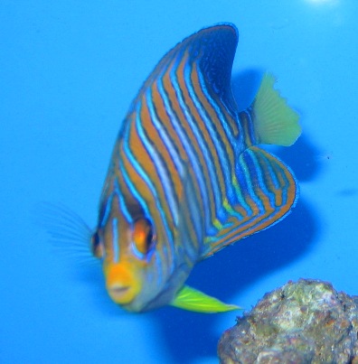 IMG_7824.JPG