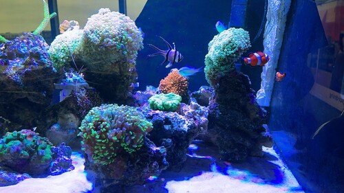 IMG_4628.jpeg