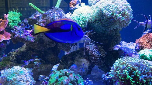 IMG_4629.jpeg