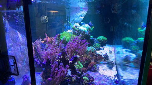 IMG_4631.jpeg