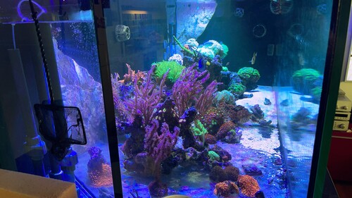 IMG_4632.jpeg