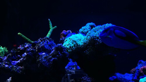 IMG_4649.jpeg