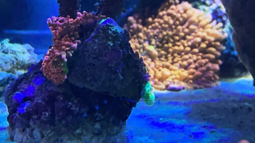 IMG_4637.jpeg