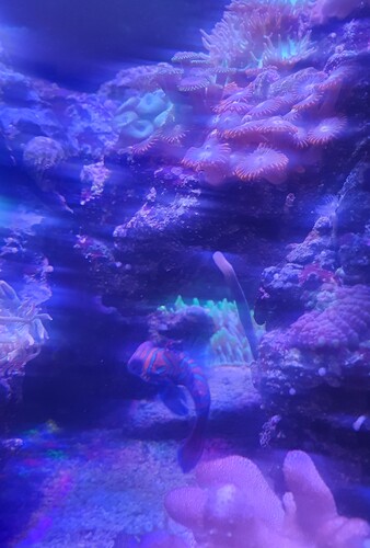 20240405_213417.jpg