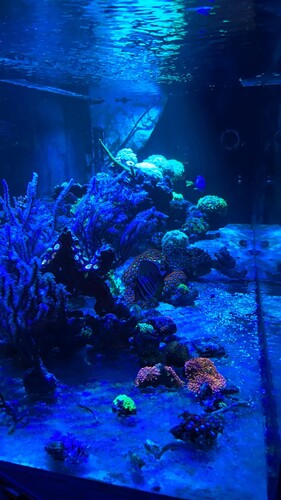 IMG_4691.jpeg