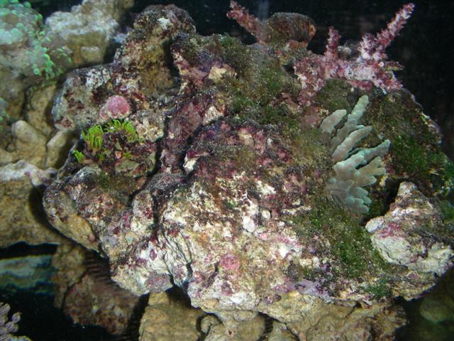 30juni08 004 (Small).jpg