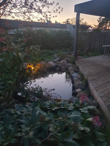 20240422_205819.jpg