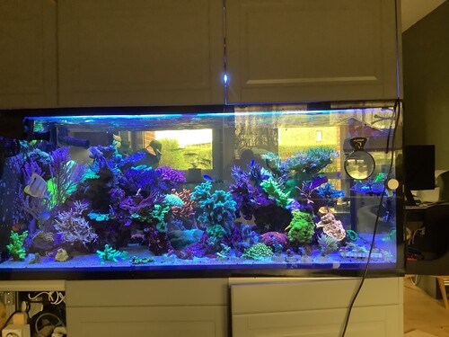 image.jpg (2.89 MiB) Vist 5519 gange No Big fish