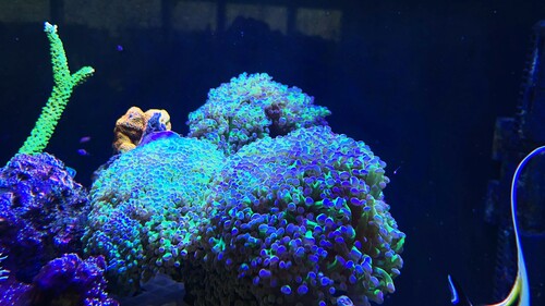 IMG_4826.jpeg