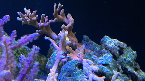 IMG_4835.jpeg