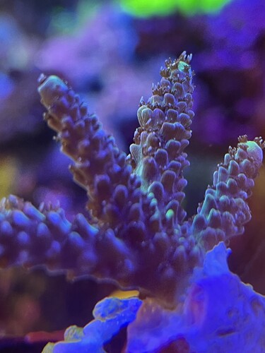 Day01