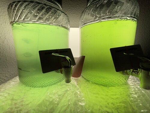 image.jpg (2.62 MiB) Vist 11771 gange Day 01