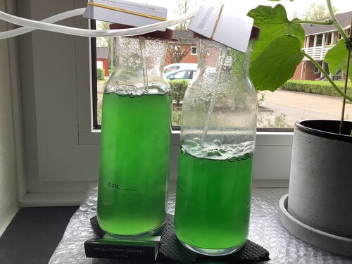 image.jpg (2.69 MiB) Vist 11763 gange Backup day03