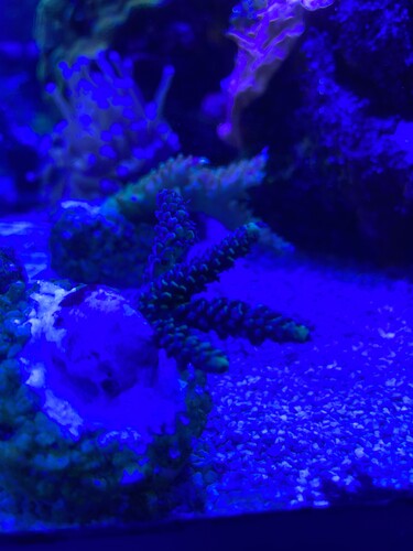 image.jpg (1.83 MiB) Vist 11734 gange Rescure