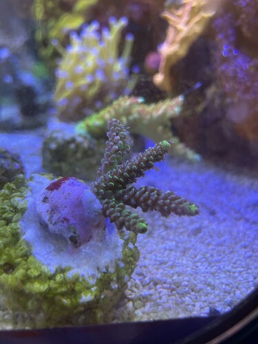 image.jpg (2.4 MiB) Vist 11733 gange With filter