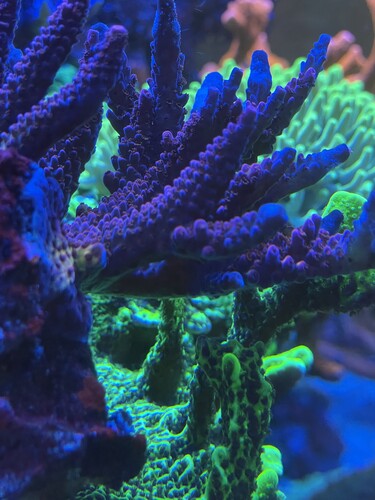 IMG_3716.jpeg (2.29 MiB) Vist 11665 gange Cb malificent