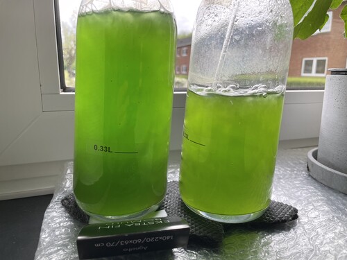 IMG_3712.jpeg (2.24 MiB) Vist 11664 gange Backup Day04