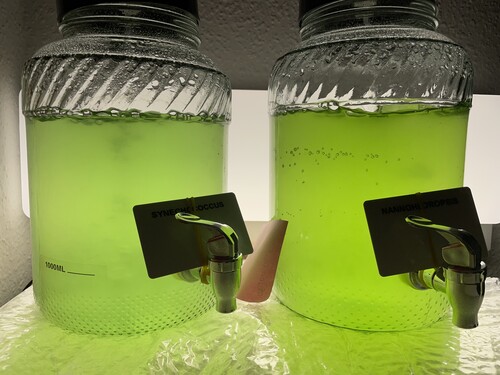 IMG_3713.jpeg (2.69 MiB) Vist 11664 gange Day02