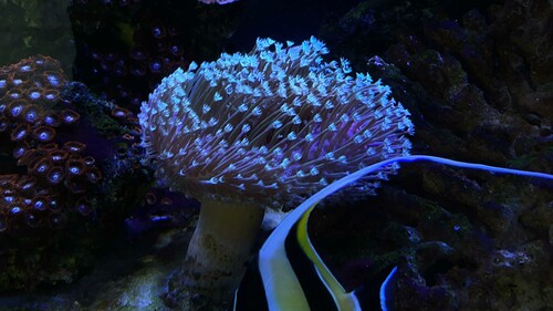 IMG_5035.jpeg