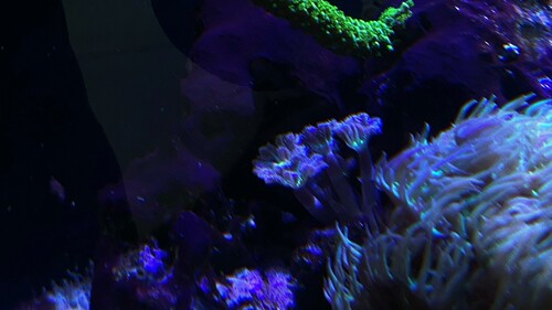 IMG_5037.jpeg