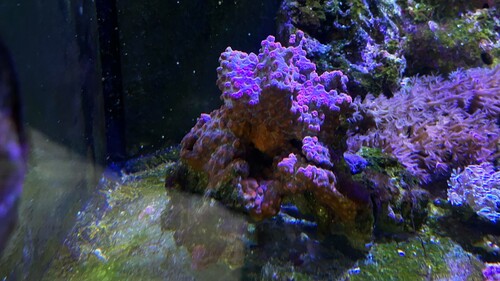 IMG_5042.jpeg