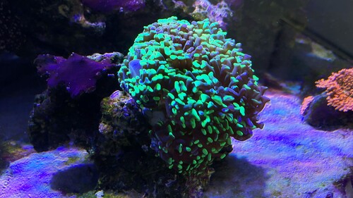 IMG_5045.jpeg