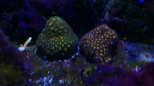 IMG_5059.jpeg