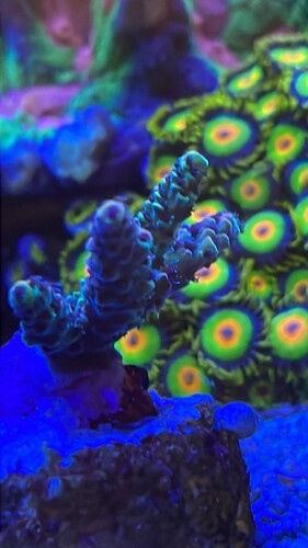 IMG_3773.jpeg (361.76 KiB) Vist 11698 gange Rescure 26 May