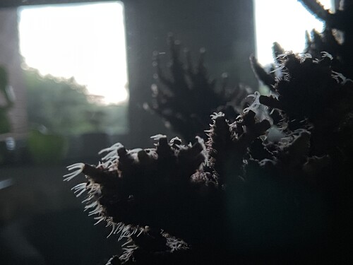 IMG_3799.jpeg