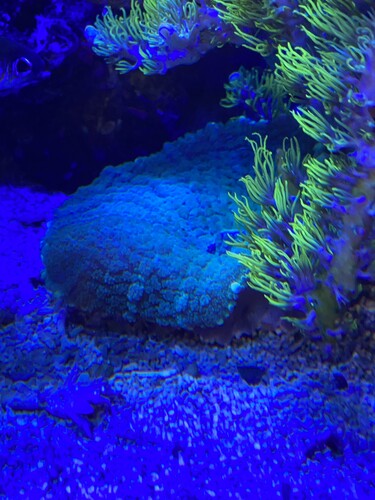 IMG_3803.jpeg
