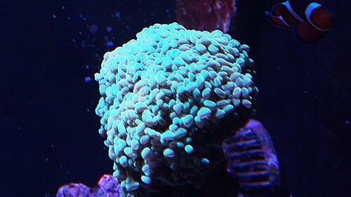IMG_5430.jpeg