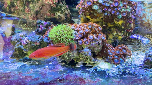 IMG_5492.jpeg