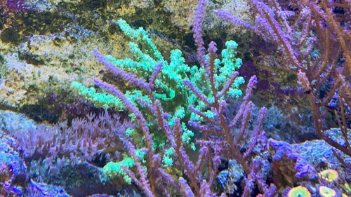 IMG_5499.jpeg