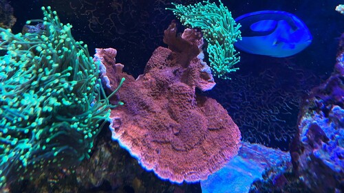 IMG_5512.jpeg