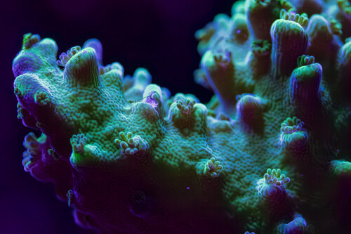 8X2A9788-3-Enhanced-NR.jpg